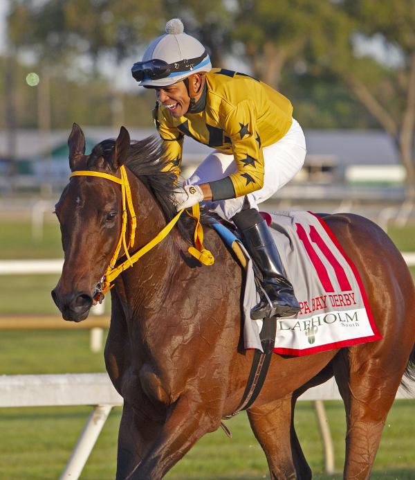 Tampa roller derby 2020 schedule Tampa roller derby 2020 schedule